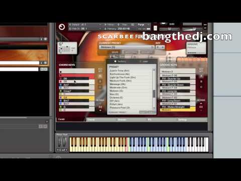 Native Instruments Scarbee Funk Guitarist - First Look