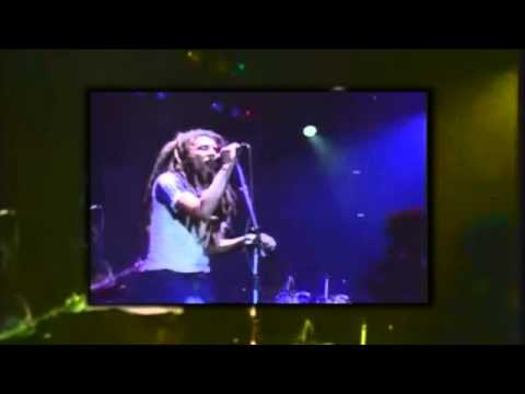 Avicii Wake Me Up Ft Bob Marley Cln