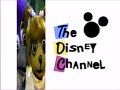 Summer 1993 Disney Channel Commercial Breaks Promos