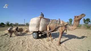 preview picture of video 'Pushkar, Rajasthan, India Stock Footages'