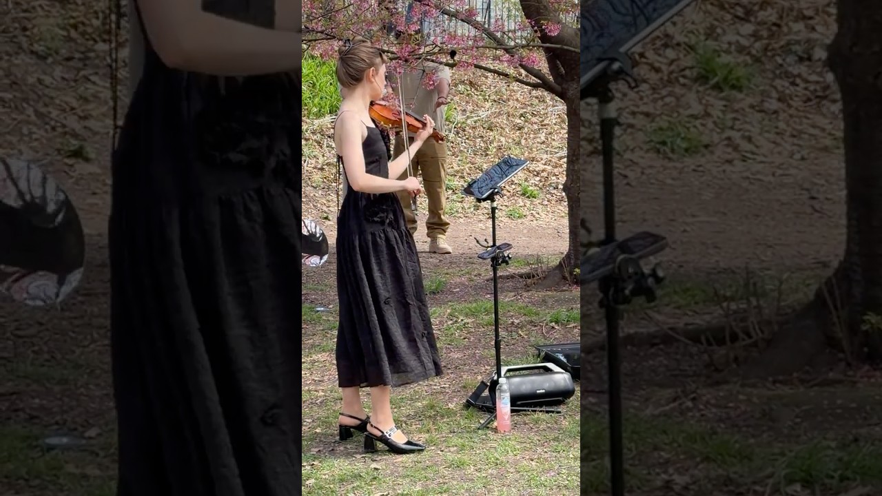 Promotional video thumbnail 7 for Hannah LeGrand - Violinist & Singer