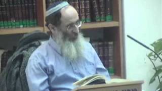 15215-3 דגים אלימים