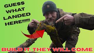 EXCITING NEW PROJECT - HOMESTEAD UPDATE - PRIZE DRAW