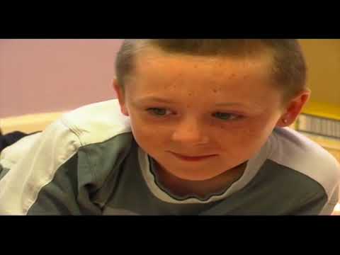 O'Devaney Gardens 2006