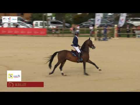 Grand National de Cluny - Mathieu Billot et Shiva d'Amaury