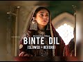 Binte Dil - Padmawat | {Slowed + Reverb} | Drowning Vibes