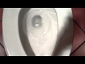 2961 American Standard Afwall Toilet 107