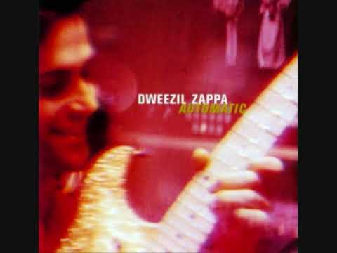 Dweezil Zappa Purple Guitar