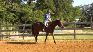 My Only Art   6.24.11