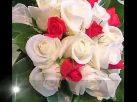 Beli ruzi - Robert Bilbilov