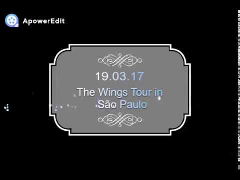 190317 - BTS - Compilation Fancans - The Wings Tour