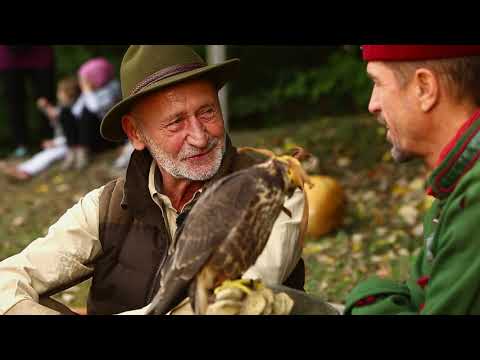 Reviczkyvel az Erdőben – III. évad – 2/12. epizód – Hagyományteremtő családi piknik