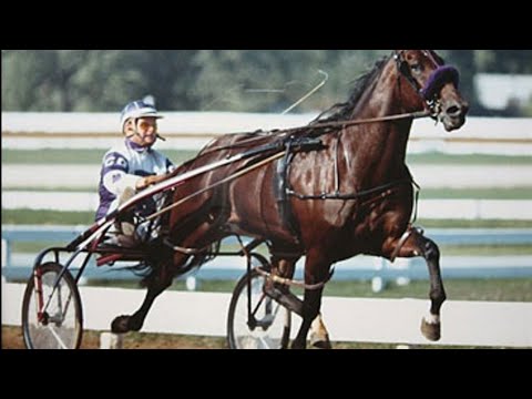 Niatross 1:49,1 Weltrekord im Zeitfahren (1.10.1980)