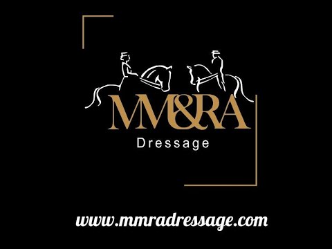 Nobre, 3 yo, Lusitano