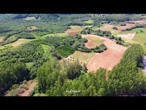 CHÁCARA / SÍTIO COM 3 DORMITÓRIOS, 2 VAGAS, 99050M² ÁREA TOTAL para venda EM 14 COLÔNIAS