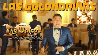 Las Golondrinas - la Unica Tropical Lyrics English Translation