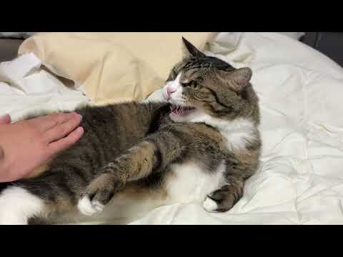 그 두들김이 아니야