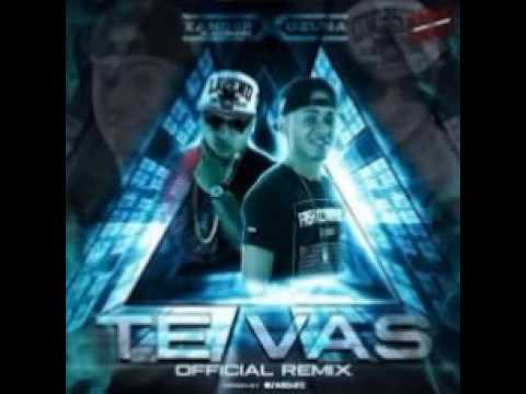 Te Vas-Ozuna Ft Xander El Imaginario Official Remix Reggaeton 2016