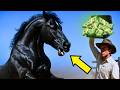 DIEZ MILLONES POR DOMAR A ESTE CABALLO SALVAJE LO QUE PASÓ DEJÓ A TODOS EN SHOCK