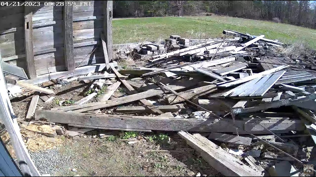 Live webcam view of Back Door Cam at the Raccoon Saloon