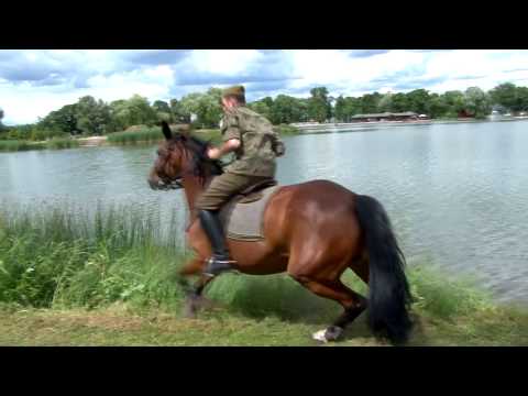 18. Piknik Kawaleryjski. Dla ułana koń jest ważniejszy niż kobieta 18. Piknik Kawaleryjski. Dla ułana koń jest ważniejszy niż kobieta