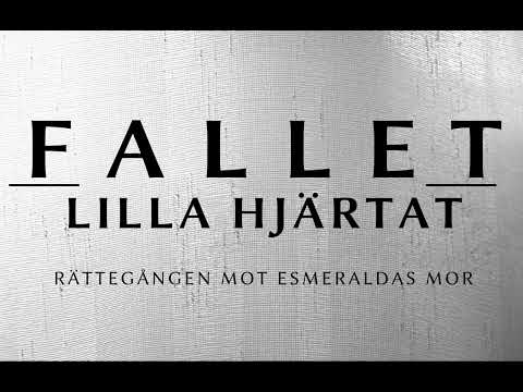 Fallet "Lilla hjärtat": Rebecka Gustafsson, Tilltalad,