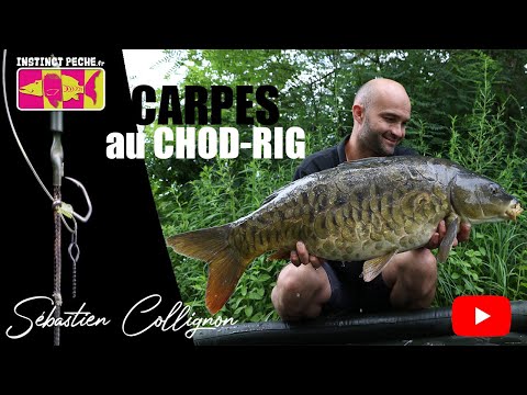 CARPES AU CHOD RIG
