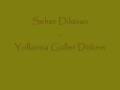 Seher Dilovan - Yollarına Güller Dökem - Www ...