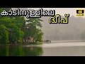 കാടിനുള്ളിലെ ദ്വീപിൽ ഫാമിലിക്കൊപ്പ�