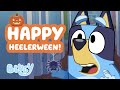 Happy Heelerween 30 MINUTES Of Spooky Fun And Games Bluey