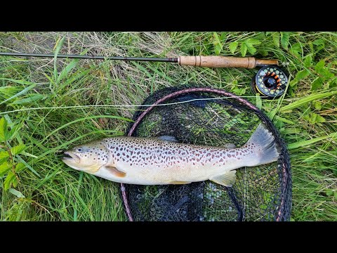 Fly fishing a German chalk stream: the Große Lauter