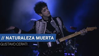 Gustavo Cerati - Naturaleza Muerta | Letra