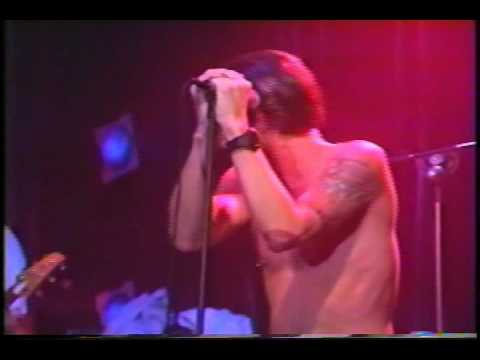 Dozer - Lit