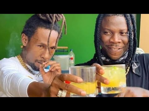 Jah Cure & Stonebwoy - Everything (Official Audio) Undeniable Album 2023 Promo By Ins Rastafari Mix