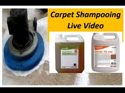 New taski foam generator 230v, for carpet