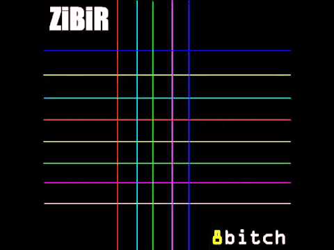 ZiBiR - 8Bitch - 02 - Definition 9