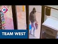 Explosie bij shishalounge Gouda gefilmd - Team West