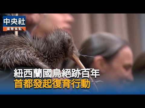 youtube影片