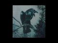 Eluveitie - Quoth the Raven - lyrics + traduzione ...