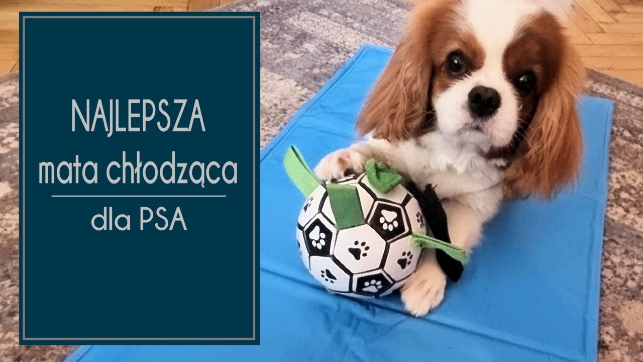 Najlepsza mata chłodząca dla PSA v2