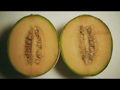 Секс и ничего лишнего - Trailer