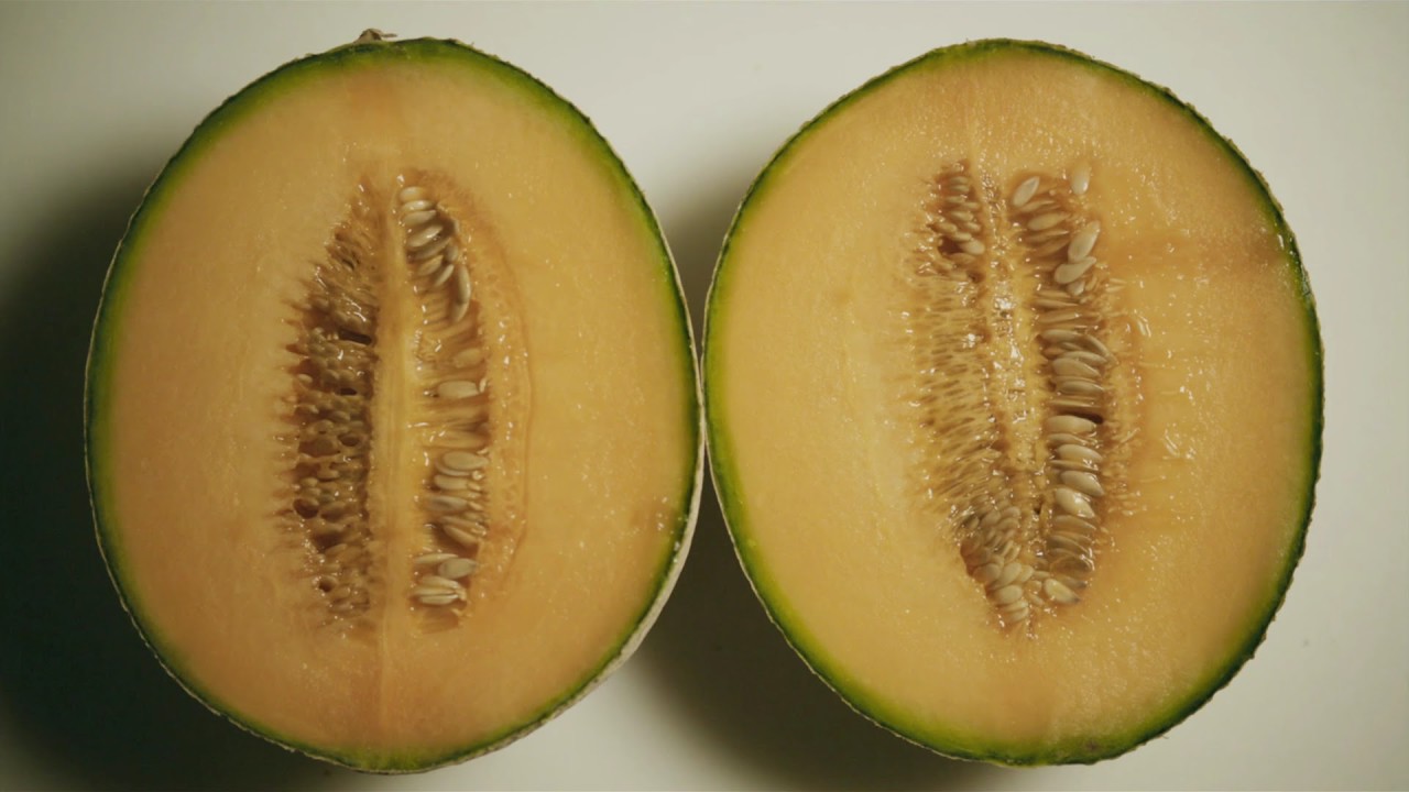 Трейлер: Секс и ничего лишнего