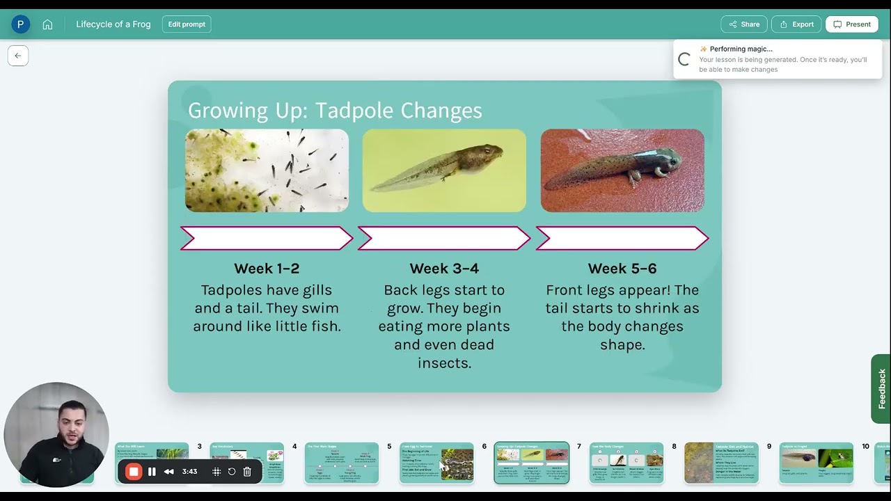Chalkie AI   introduction to lessons and activity sheets