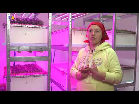 , title : 'الزراعة العضوية في أوكرانيا'