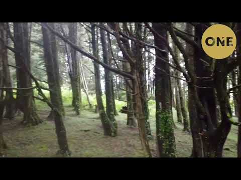 Lote en venta en el Tirol, San Rafael de Heredia/ Lot for Sale in El Tirol, San Rafael de Heredia