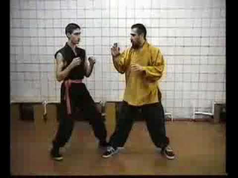 Золотая лапа