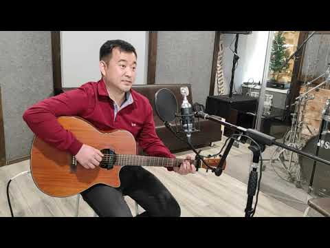 Кавер на гитаре/Лебеди/Владислав Агафонов
