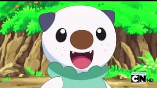 Oshawott’s Cute Moments 1