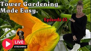 Tower Gardening Made Easy LIVE STREAM #towergarden #gardening #hydroponicgardening #farm