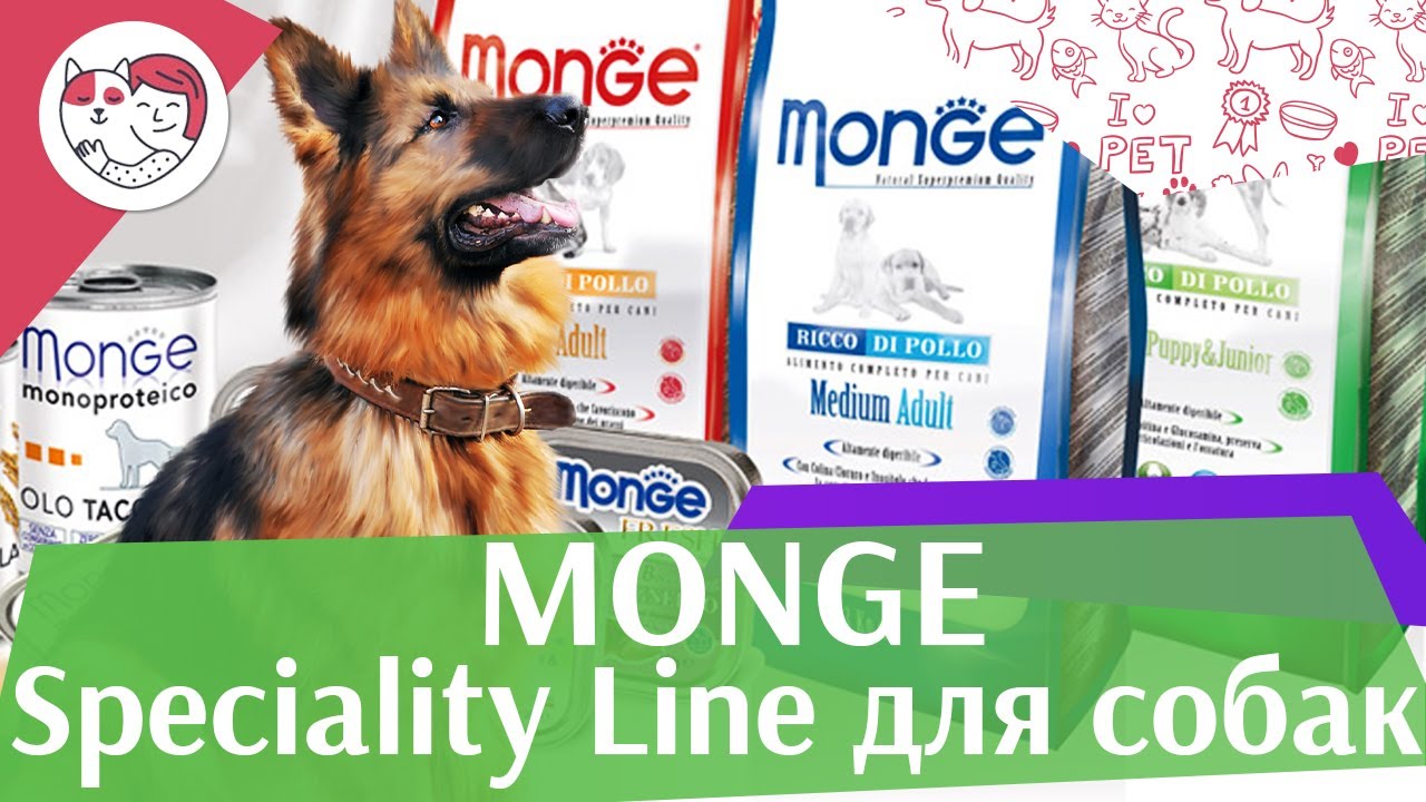 Monge сухой корм SPECIALITY для собак на ilikepet